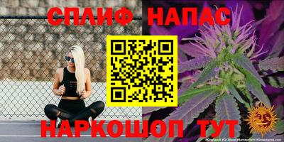 гашик Партизанск